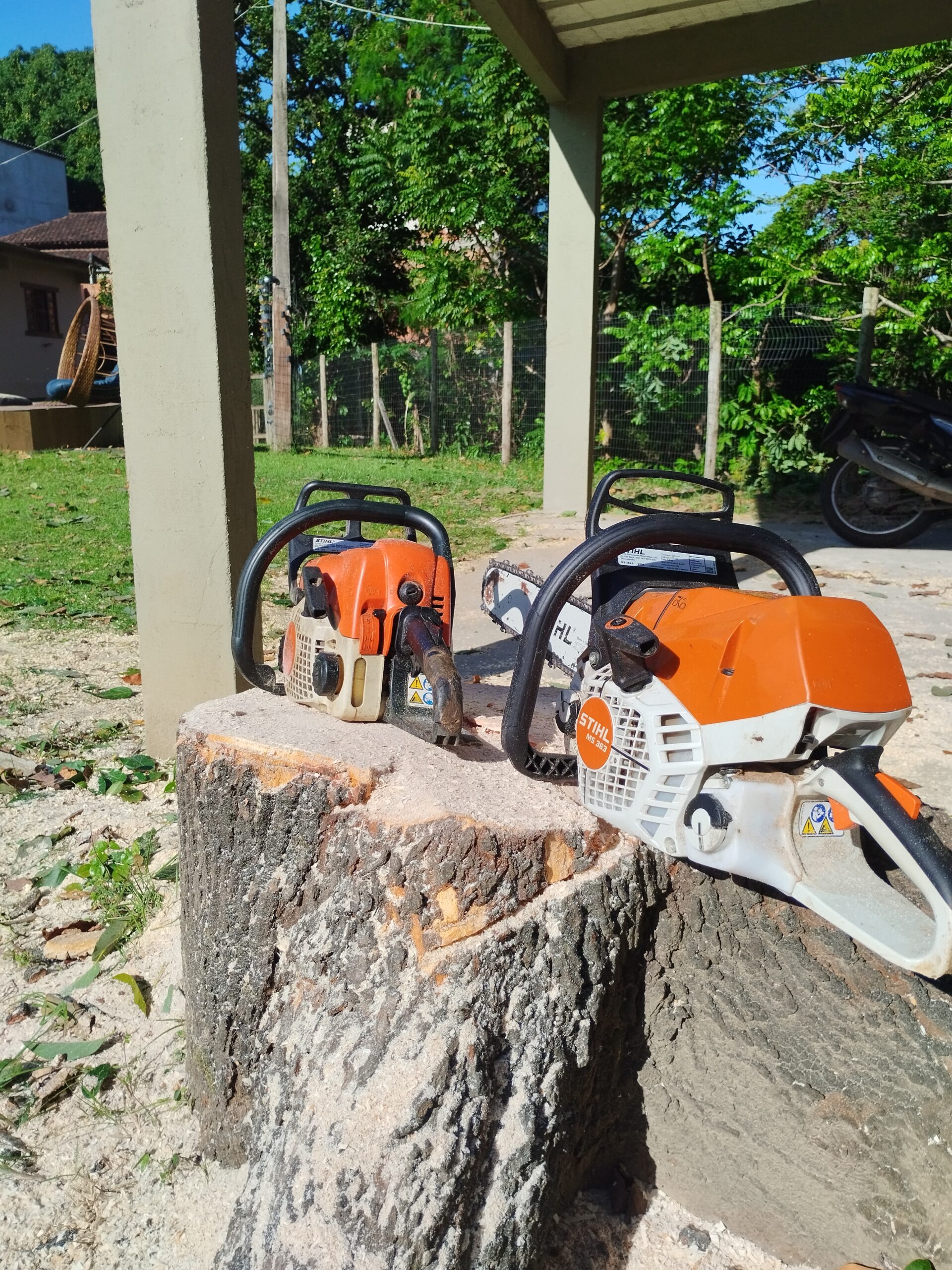 Serviço de corte de árvore