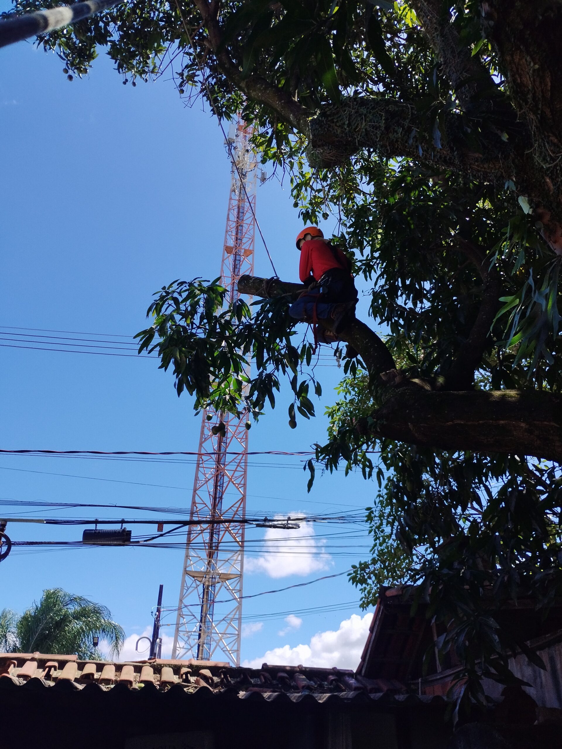 Trabalho com segurança